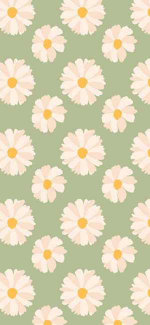 Spring Iphone Daisies Green Background — Floral iPhone Wallpaper