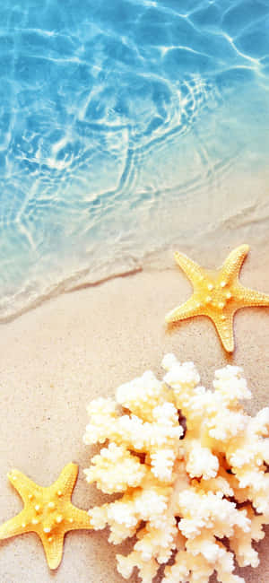 Iphone X Summer Background — Pixel 8a Wallpaper