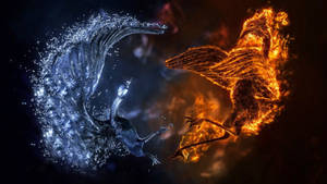 Cool 3D artwork of birds fighting wallpaper.