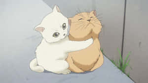 Mga larawan ng Anime na Pusa — Pusang anime Wallpaper