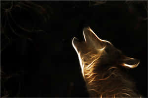 Galaxy Wolf background — Galaxy na lobo Wallpaper