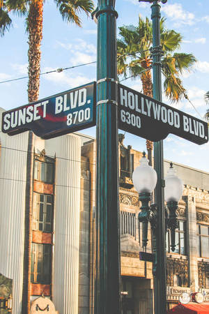 Sunset Boulevard At Hollywood Boulevard wallpaper