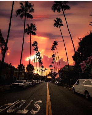 Sunset Boulevard na Makulay na Kahel na Langit na wallpaper