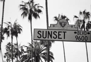 Sunset Boulevard Itim at Puti wallpaper