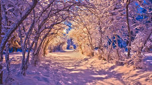 Tanawin ng Taglamig na Tunnel — Winter Wallpaper