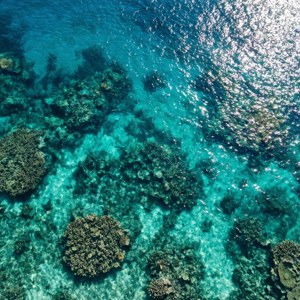 Tanawin mula sa itaas ng turquoise na karagatan na may mga coral reef. — Ocean Wallpaper