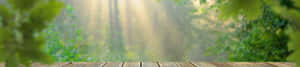 4k na background ng kalikasan — 4K kalikasan GIF Wallpaper
