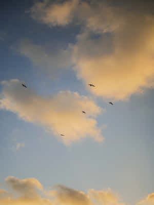 Mga larawan ng Aesthetic Sky — Sunset Wallpaper