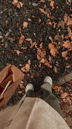 Mga larawan ng Aesthetic Brown