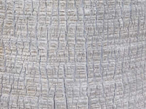 detalye, kahoy, background, materyales, luma, puno, abstract, texture, luma, surface, natural, timber, kahoy, pattern, magaspang, pagtanda, halaman, closeup, kapaligiran — Surface Wallpaper