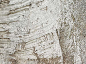detalye, kahoy, background, materyales, luma, puno, abstract, puno ng kahoy, tekstura, luma, ibabaw, natural, timber, kahoy, pattern, magaspang, pagtanda, halaman, closeup, kapaligiran — Abstract Wallpaper