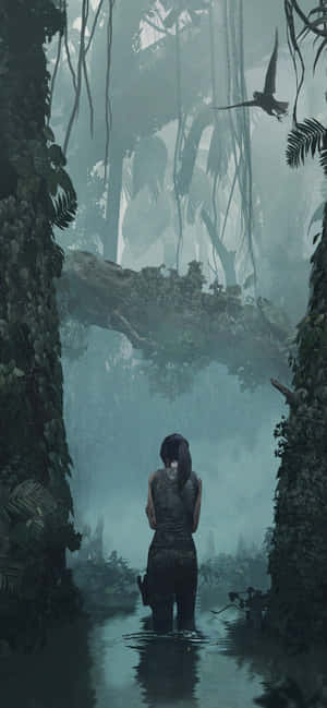 Iphone Xs Max Rise Of The Tomb Raider Background — Vivo S Wallpaper