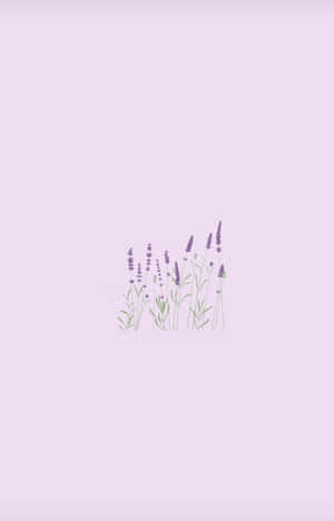 Kulay ng Lilac — Infinix Xpad 20 Wallpaper