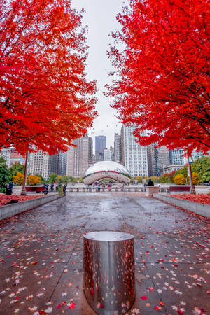 Ang Bean ng Chicago na may Pulang Dahon — Autumn Wallpaper