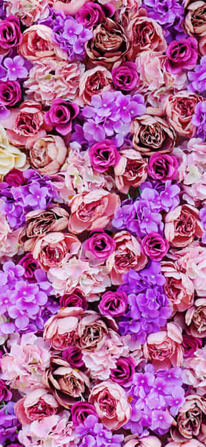 Mga Larawan ng Lilang Bulaklak — iPhone 17e Wallpaper