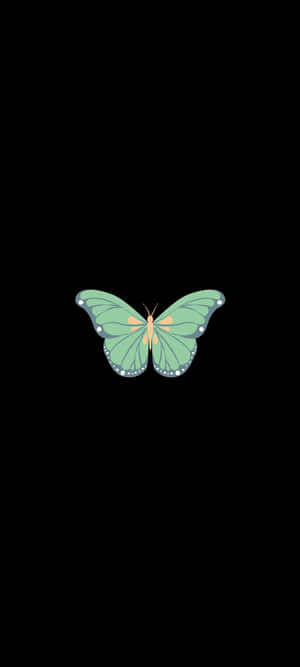 Green Butterfly — iPhone 17 Pro Wallpaper