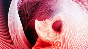 Beautiful abstract curves and layers for Macbook
