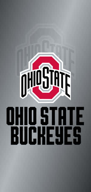 Ohio State Iphone — iPhone Xs Max Wallpaper