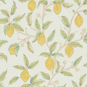 Lemon Tree Leaf wallpaper. — Pixel Watch 5 Wallpaper