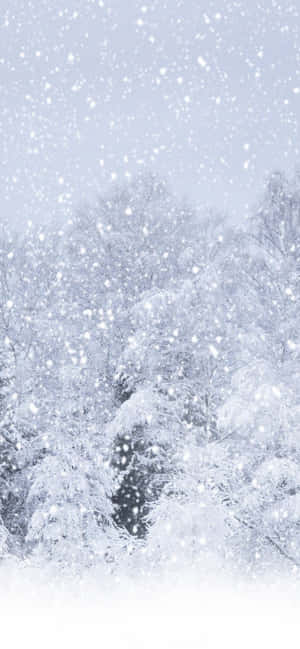 Iphone Xs Max Winter Background — iPhone 16 Wallpaper