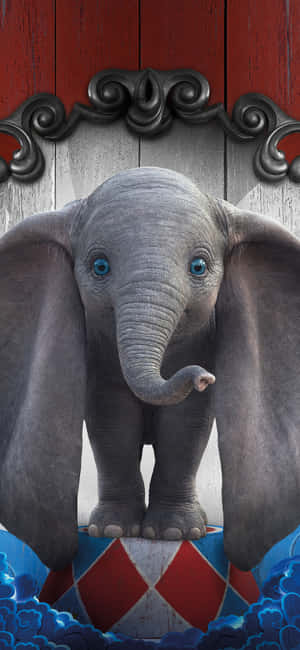 Cute Elephant Pictures — iPhone 18 Pro Max Wallpaper