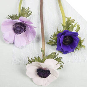 Three Anemone Flowers wallpaper — 1:1 Wallpaper