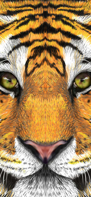 Mga Larawan ng Mukha ng Tigre — Galaxy A56 Wallpaper
