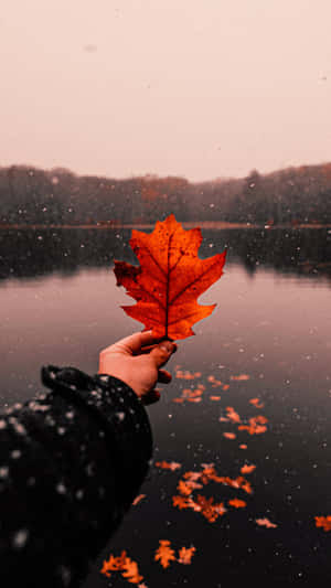 Fall Aesthetic background — Taglagas aesthetic Wallpaper