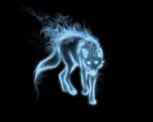 Mga larawan ng astig na Lobo — Astig na lobo Wallpaper