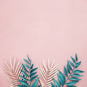 Tropical Leaves Sa Pastel Pink Background Wallpaper — Motorola Razr 2025 Wallpaper