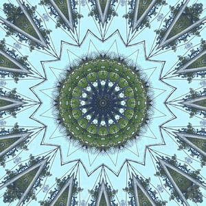 Aesthetic Trippy