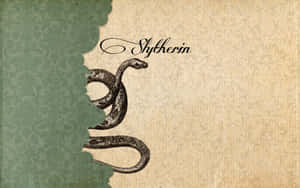 Mga larawan ng Slytherin Aesthetic — Slytherin estetiko Wallpaper