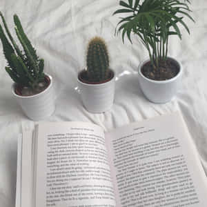 Mga larawan ng libro aesthetic — Aesthetic na salita Wallpaper