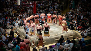 Wallpaper ng hapag ng sumo ng Hapon — Pro Display XDR Wallpaper