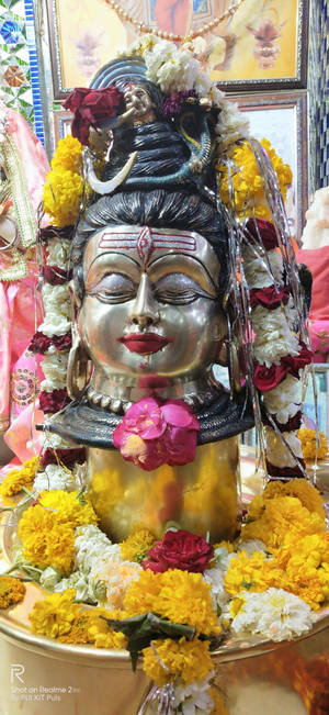 Ujjain Mahakal Yellow Flowers — 1290x2796 Wallpaper
