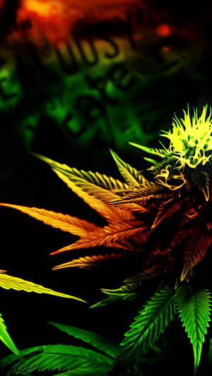 Rare plant lock screen wallpaper.
