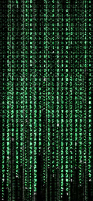 Matrix Iphone — Pixel 11 Pro XL Wallpaper