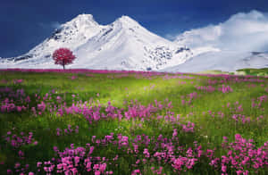Relaxing Background — MacBook Air M2 Wallpaper