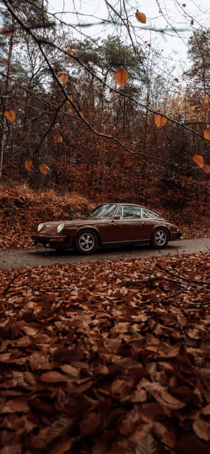 Vintage Aesthetic Fall Trees Car — iPhone 13 Pro Wallpaper