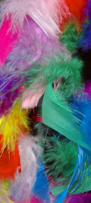 Vivo V20 Colorful Feathers — Pixel 10 Wallpaper