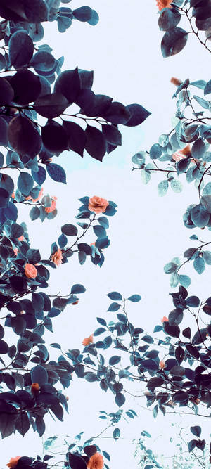Vivo V20 Orange Flower Tree — Pixel 9 Pro Fold Wallpaper