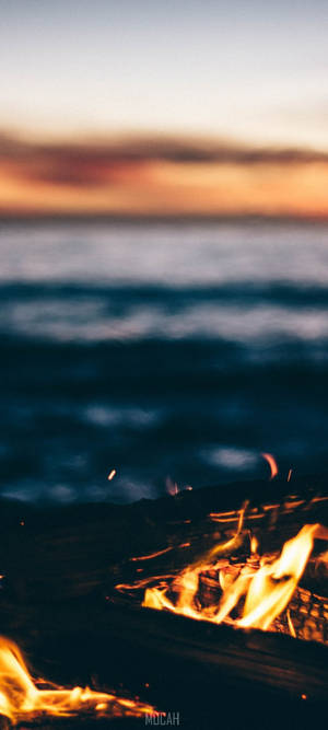 Vivo Y11 Apoy — iPhone Xr Wallpaper