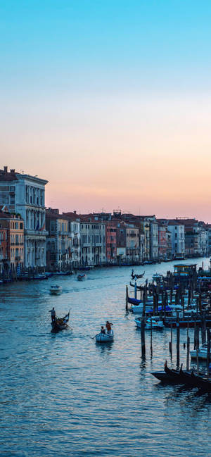 Vivo Y11 Venice — Galaxy S25 FE Wallpaper