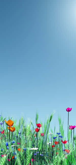Pixel 3 Spring Background — iPhone 15 Pro Wallpaper