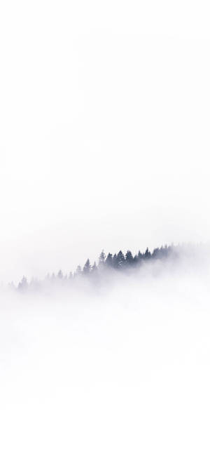 White iPhone Clouds On Mountain Trees — Pixel 10 Pro Wallpaper