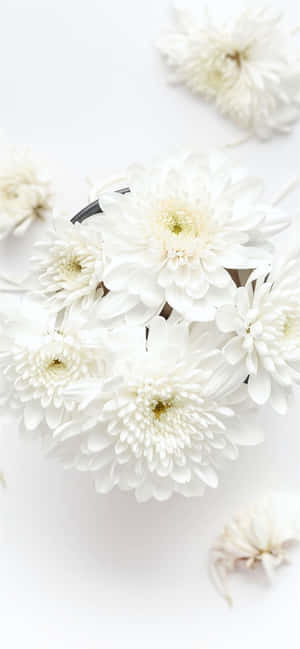 White Iphone Background — Floral iPhone Wallpaper