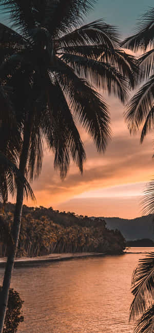 1170x2532 — iPhone 13 Mini Wallpaper