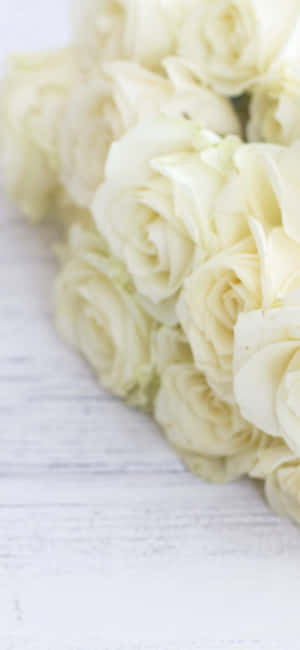White Roses Iphone — Pixel 9 Pro XL Wallpaper