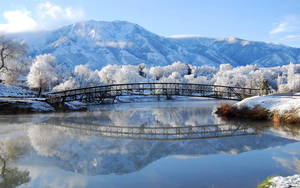 Winter bridge landscape wallpaper