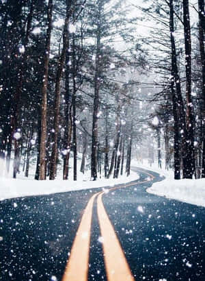 Winter Wonderland: Isang Niyebeng Daan sa Kagubatan — HMD Terra M Wallpaper
